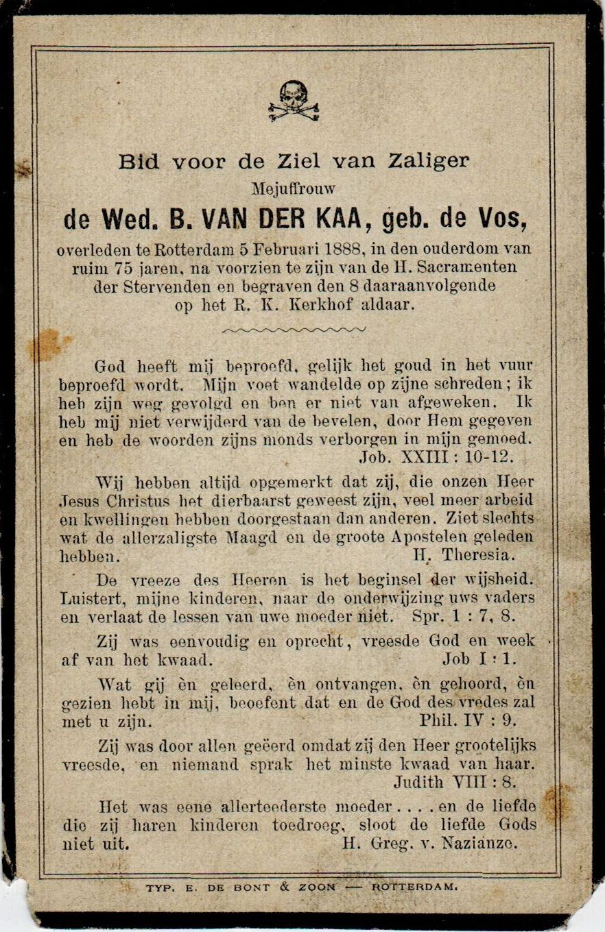 De Vos B (Van der Kaa)