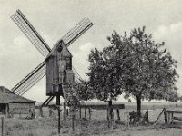 Appelterre - Molen