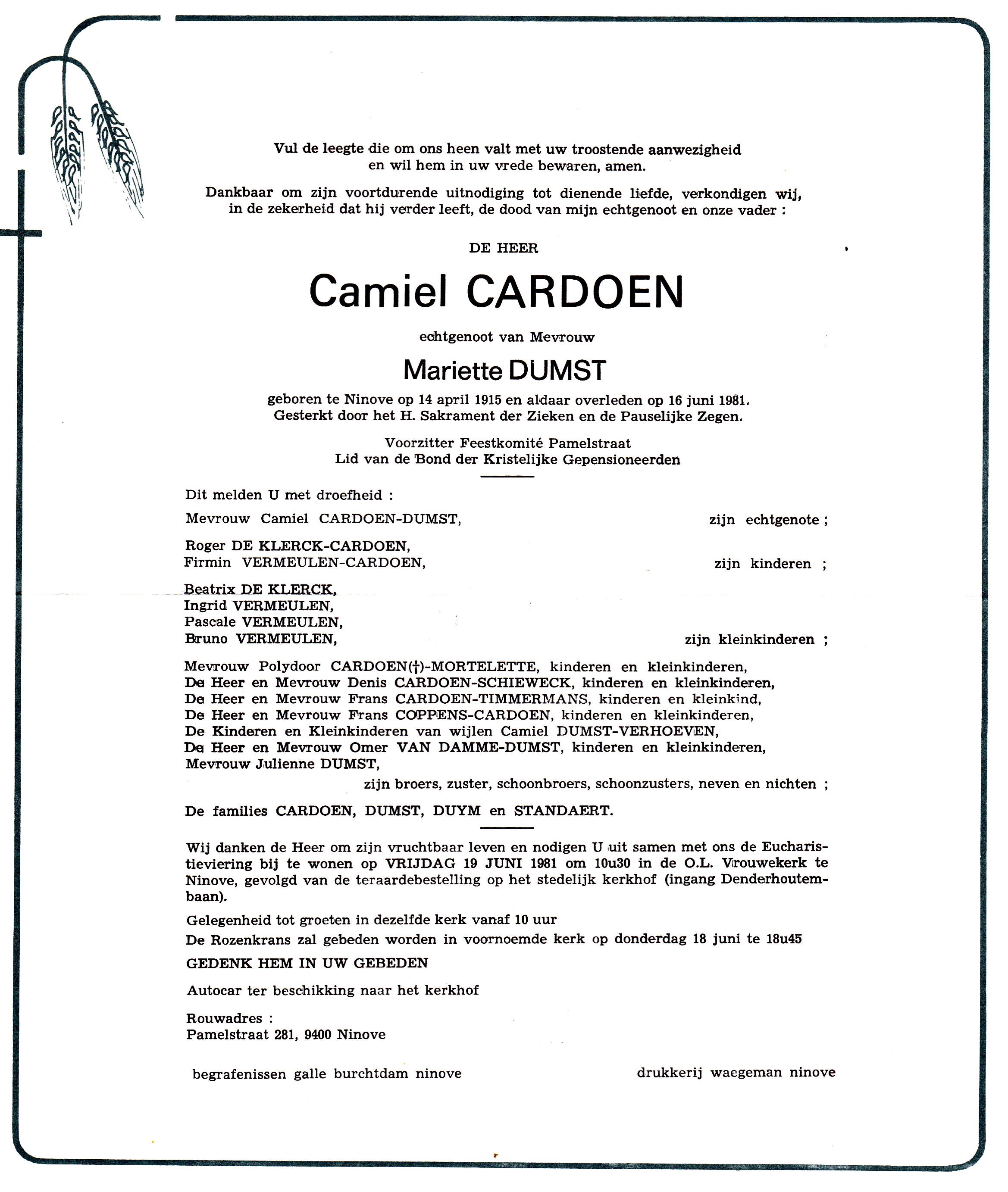 Cardoen Camiel 