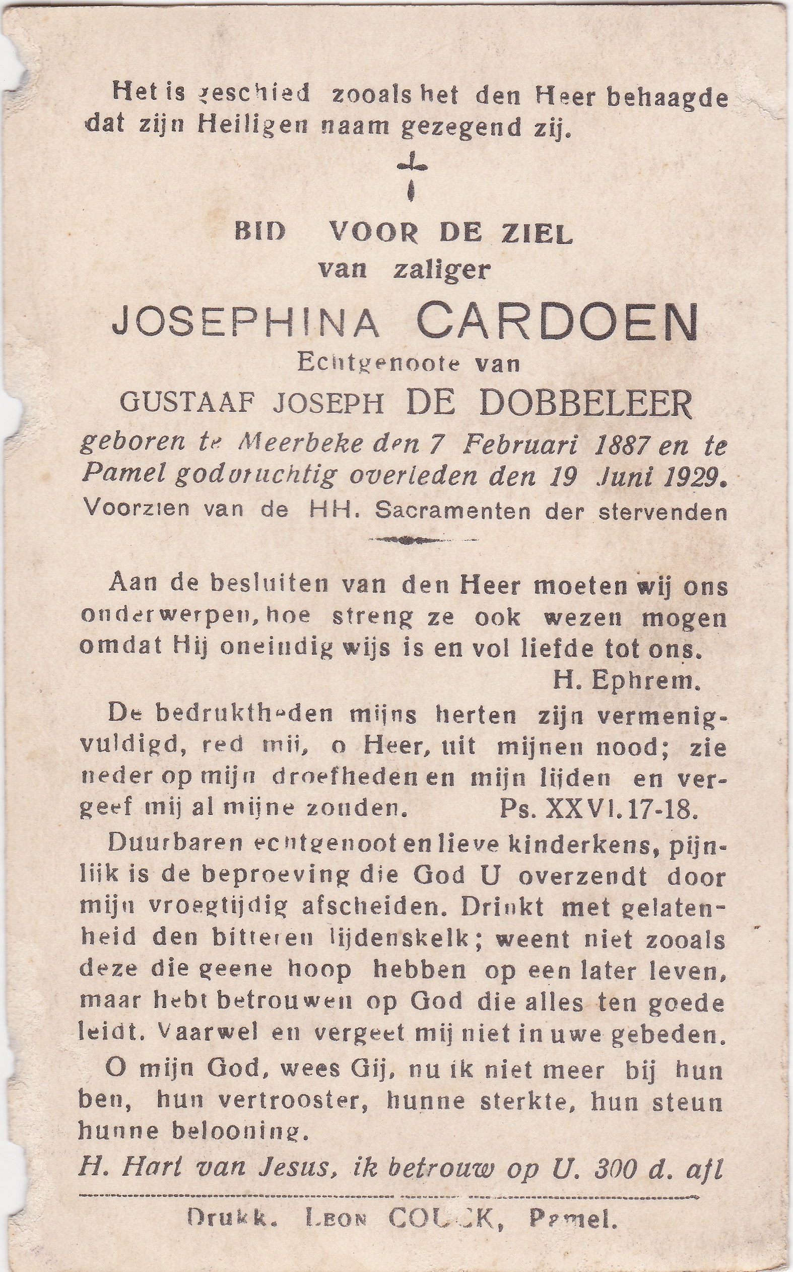 Cardoen Josephina