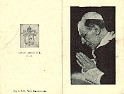 Pius XII  .jpg