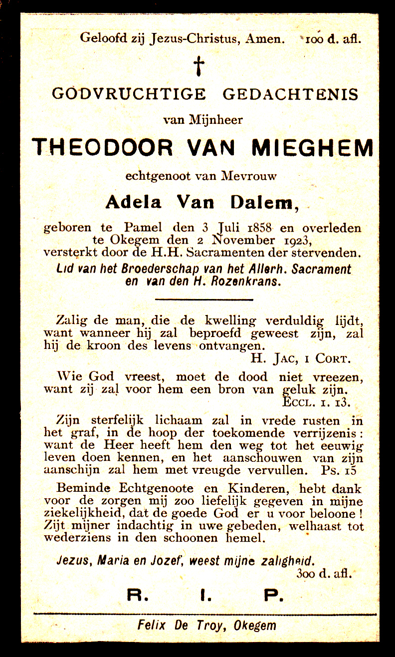 Van Mieghem Theodoor