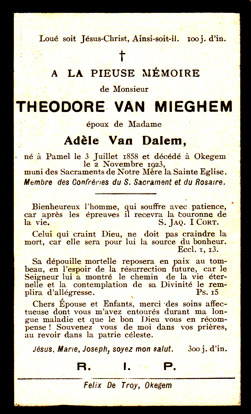 Van Mieghem Theodore