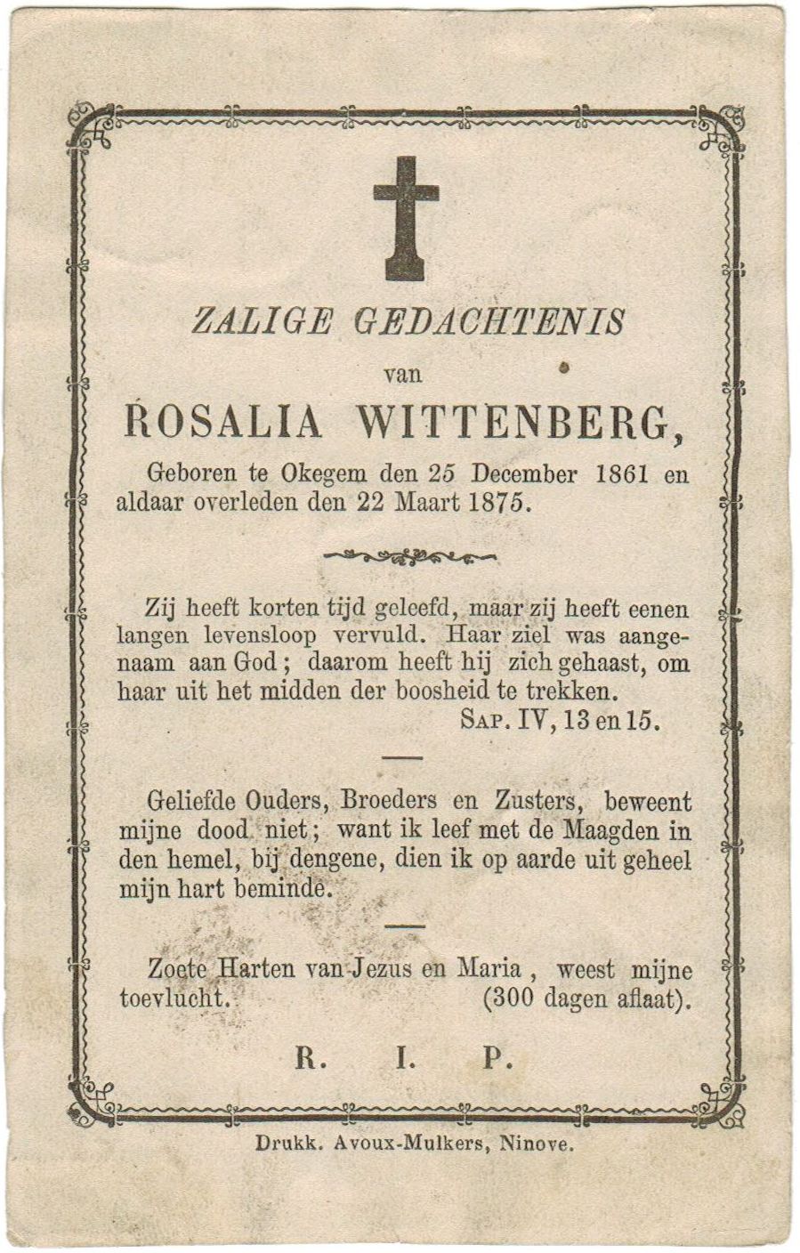 Wittenberg Rosalia
